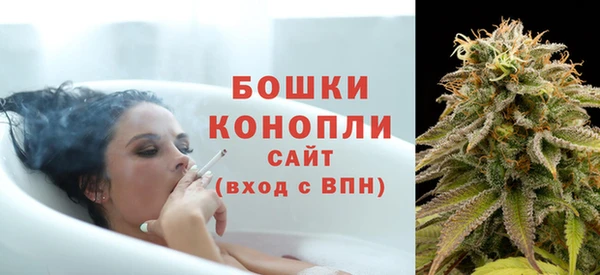 прущие крисы Горняк