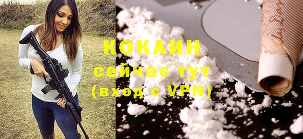 прущие крисы Горняк