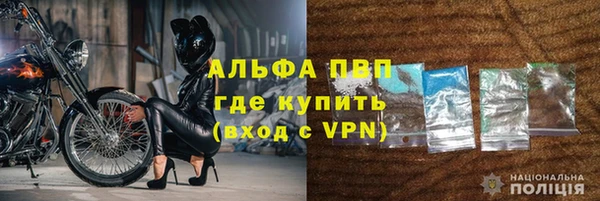 прущие крисы Горняк