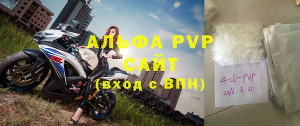прущие крисы Горняк