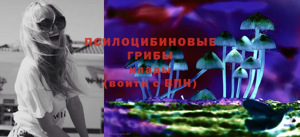 МДМА Горнозаводск